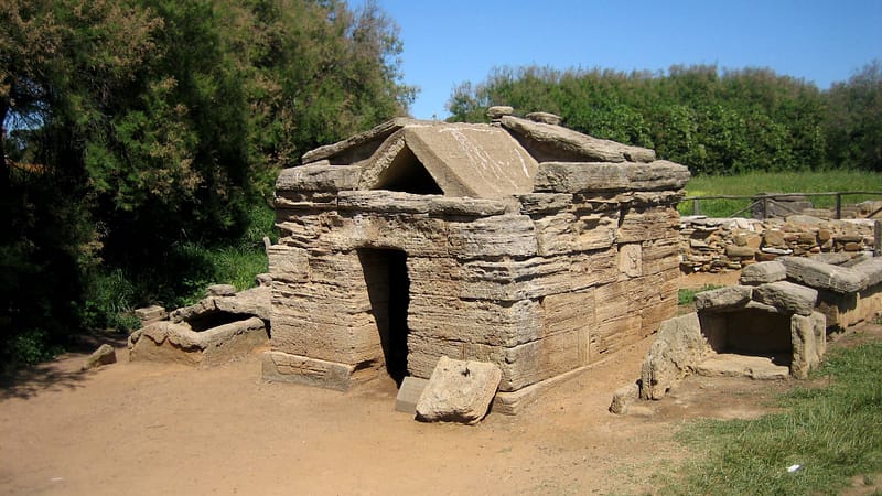 landsofpisa46