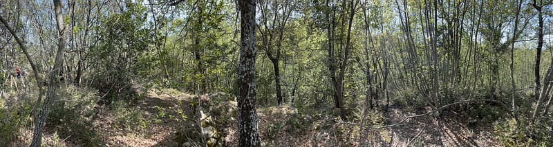 pievedepitti_picnic14