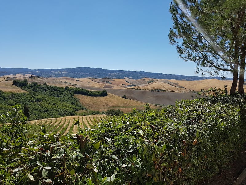 winetour_pievedepitti48