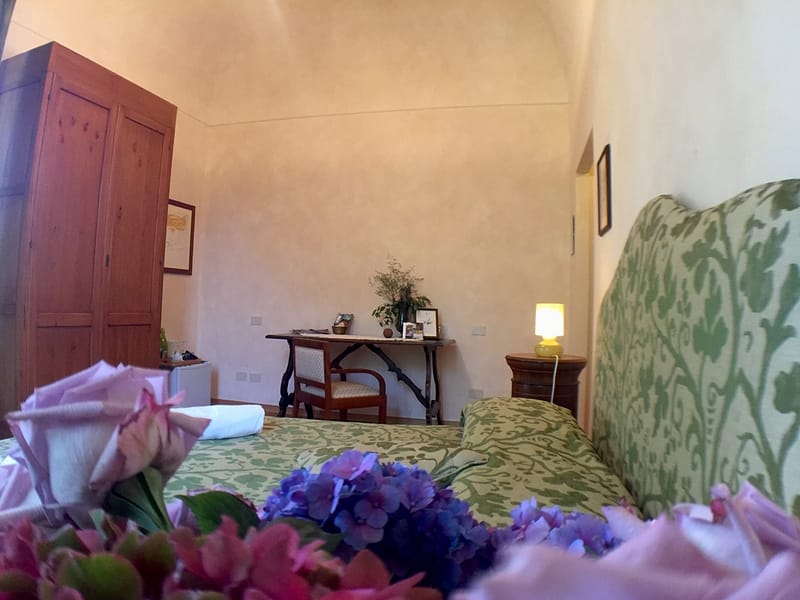 pievedepitti_edera5