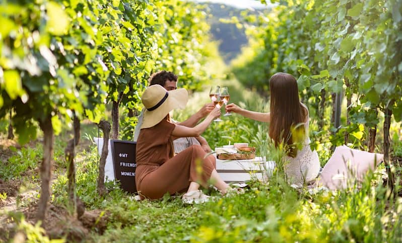 Picnic in Vigna 18 Giugno