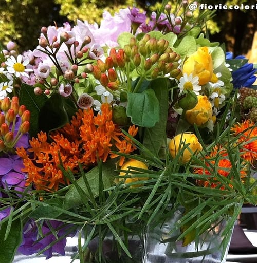 flowers&decoration6