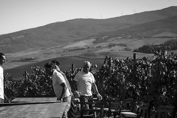 cenainvigna1