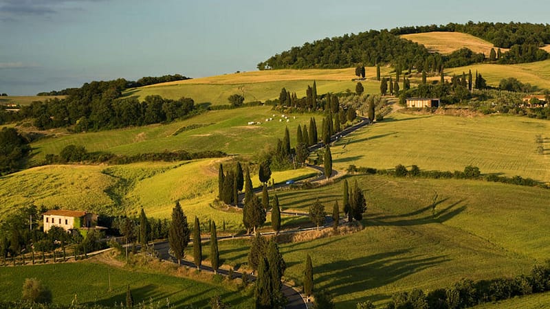 landsofpisa44