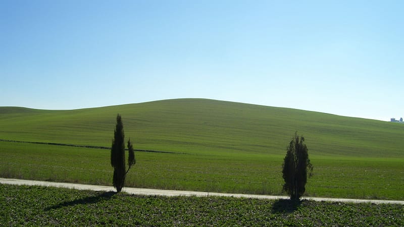 landsofpisa45