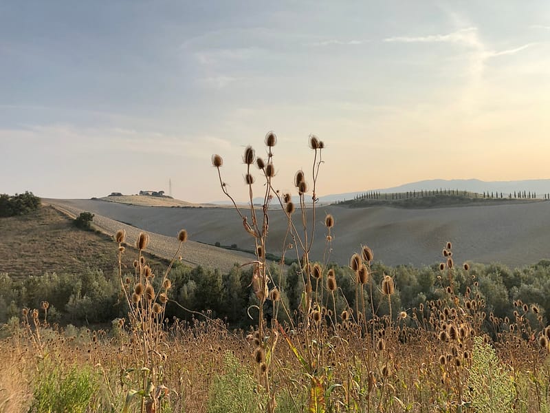 pievedepitti_picnic33