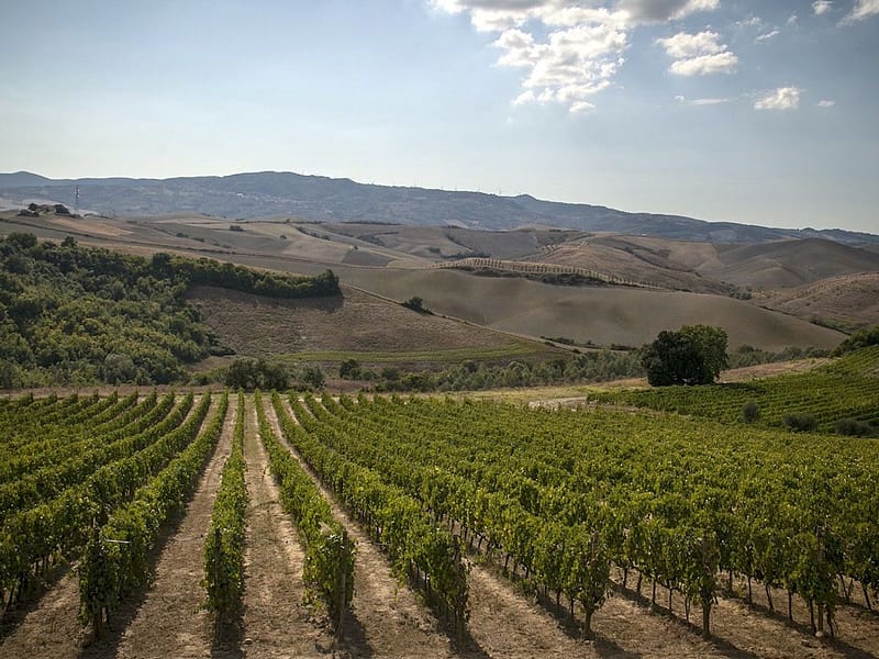 winetour5