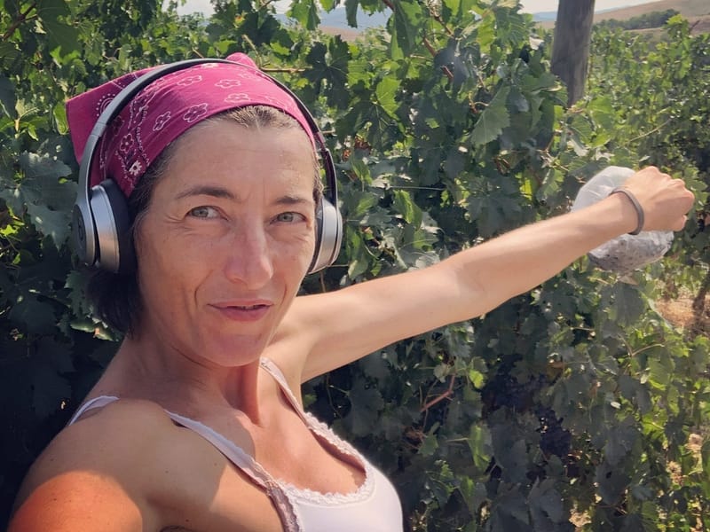 pievedepitti_vendemmia2018_41